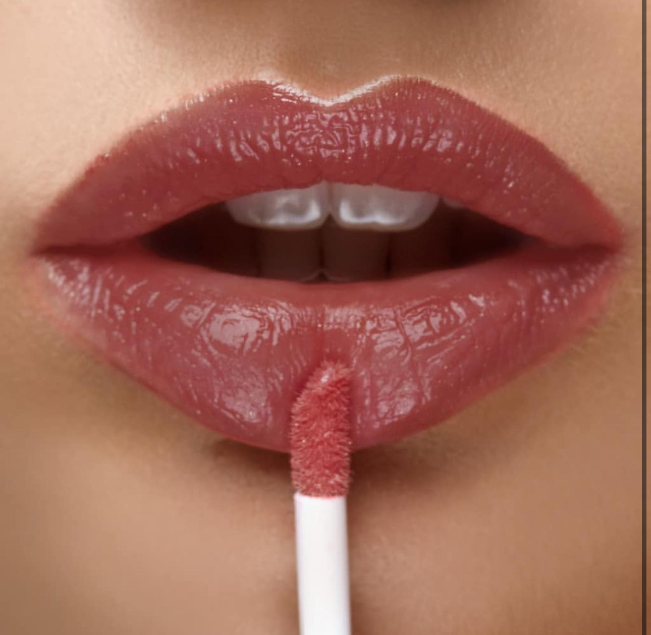 Farmasi Lip Gloss Nudes for all                Rose Fame 06